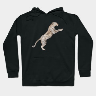 Leaping Leopard Hoodie